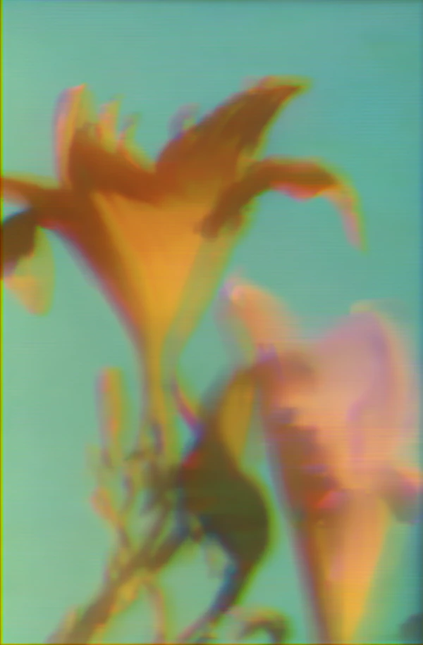 Abstract Floral Art