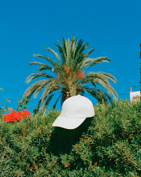 Baseball Cap on Bush
