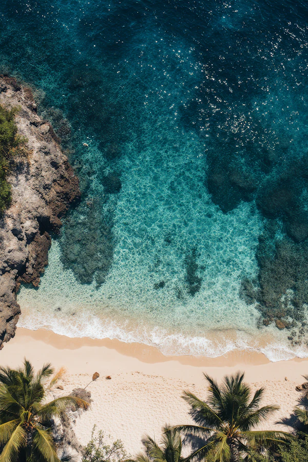 Tropical Beach Aerial View