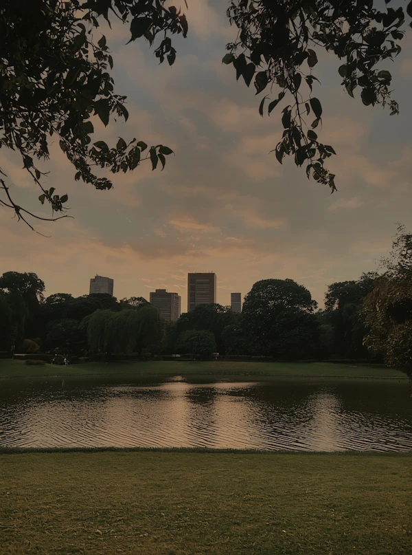 Serene Park at Dusk