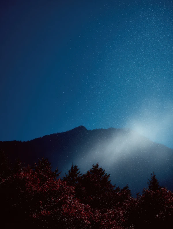 Mystical Night Landscape
