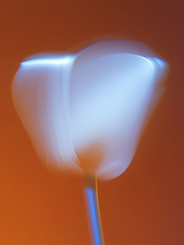 Dreamy White Flower