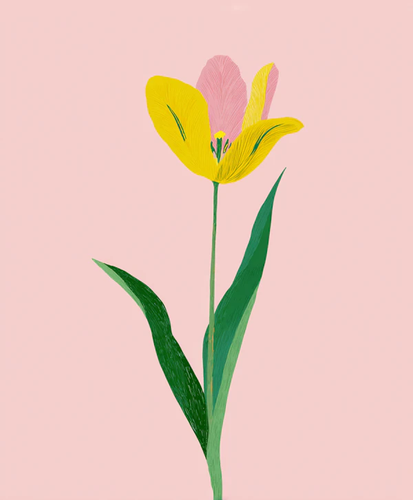 Yellow Tulip Art