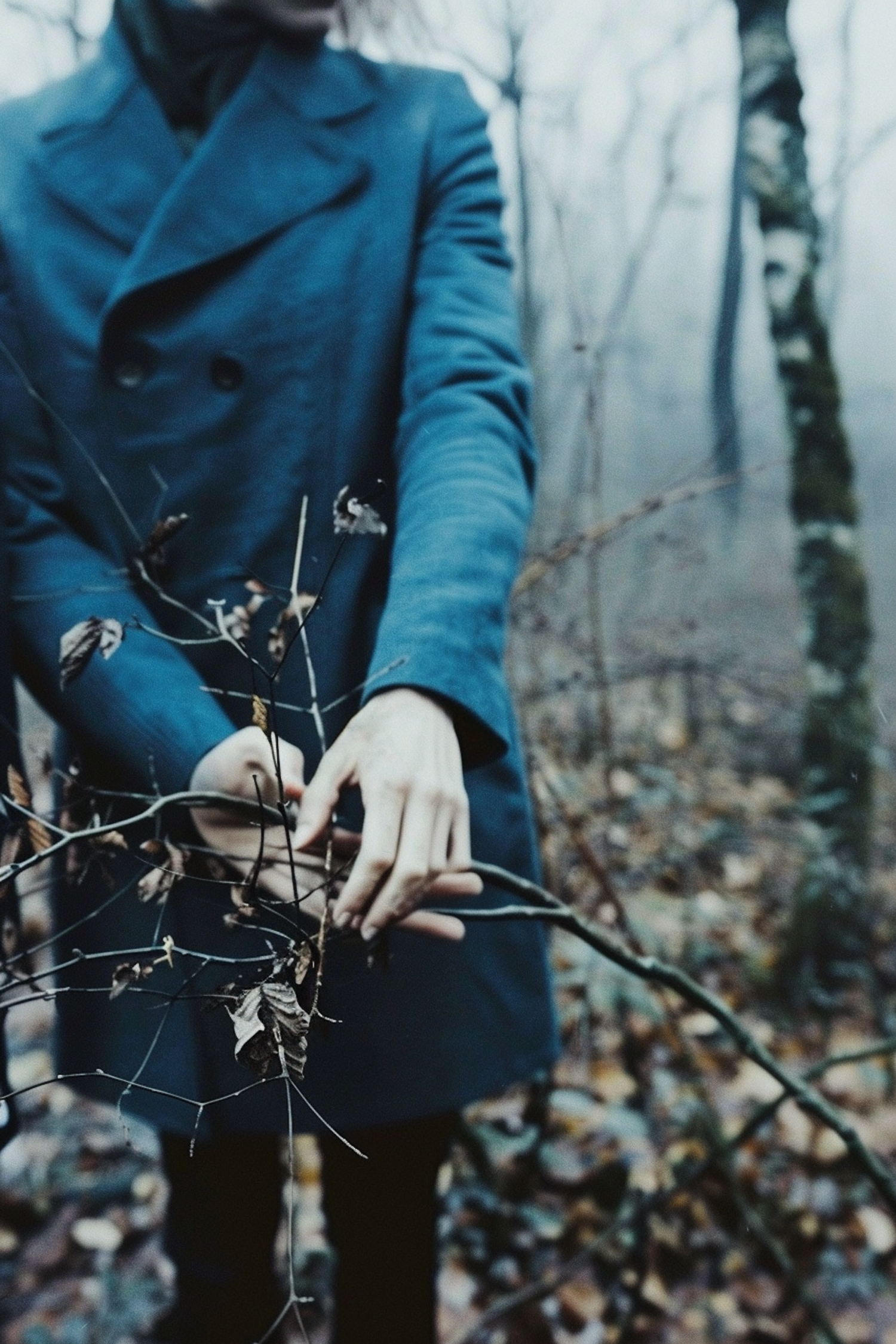 Solitude in the Foggy Forest