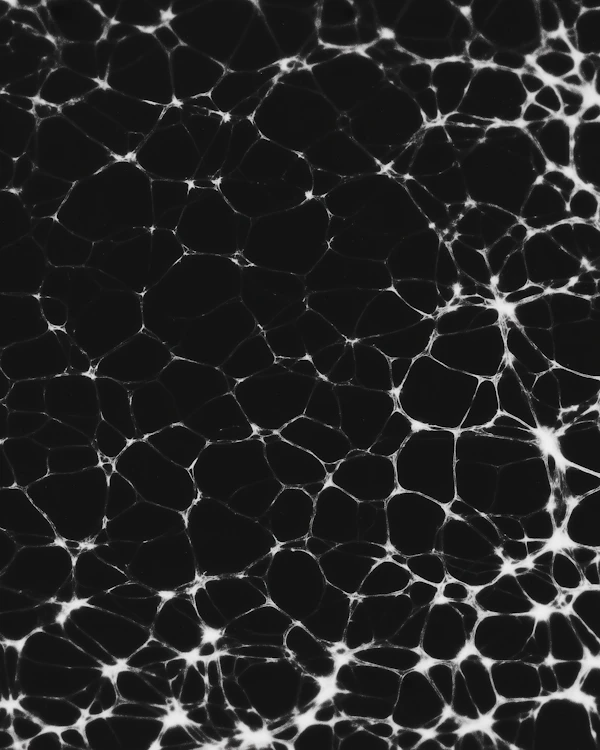 Abstract Web Design