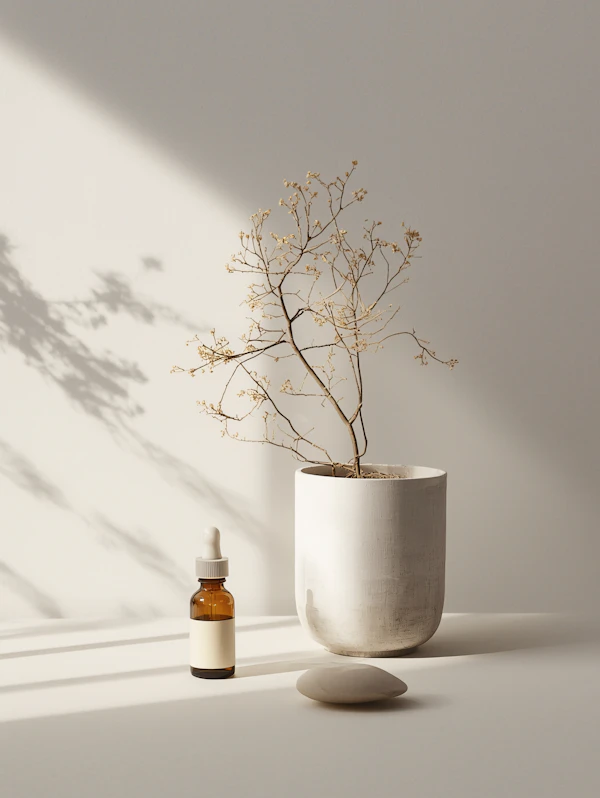 Minimalist Still Life