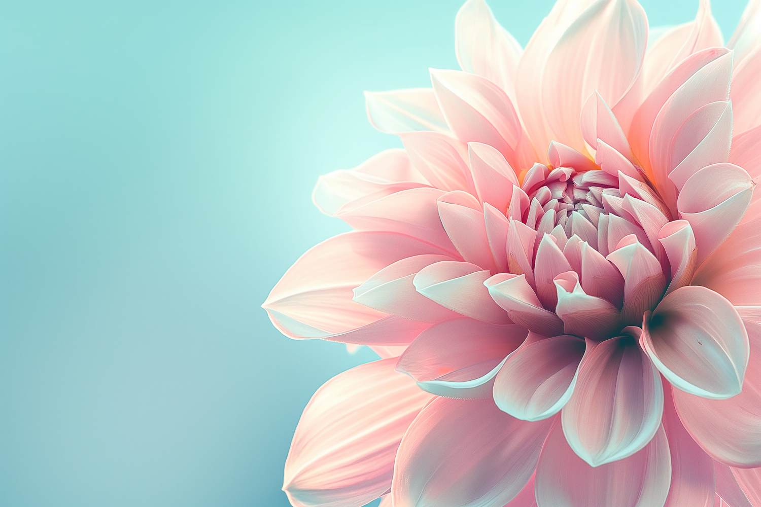 Serene Dahlia Close-Up