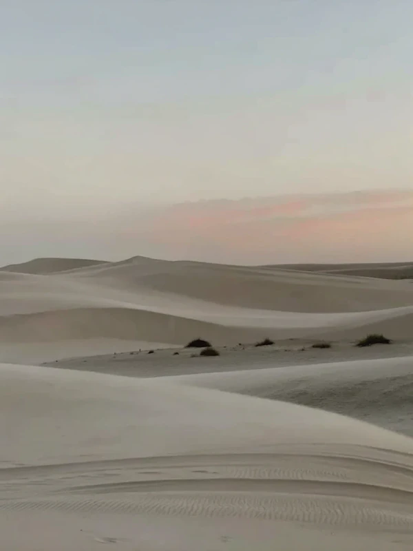 Serene Sand Dunes