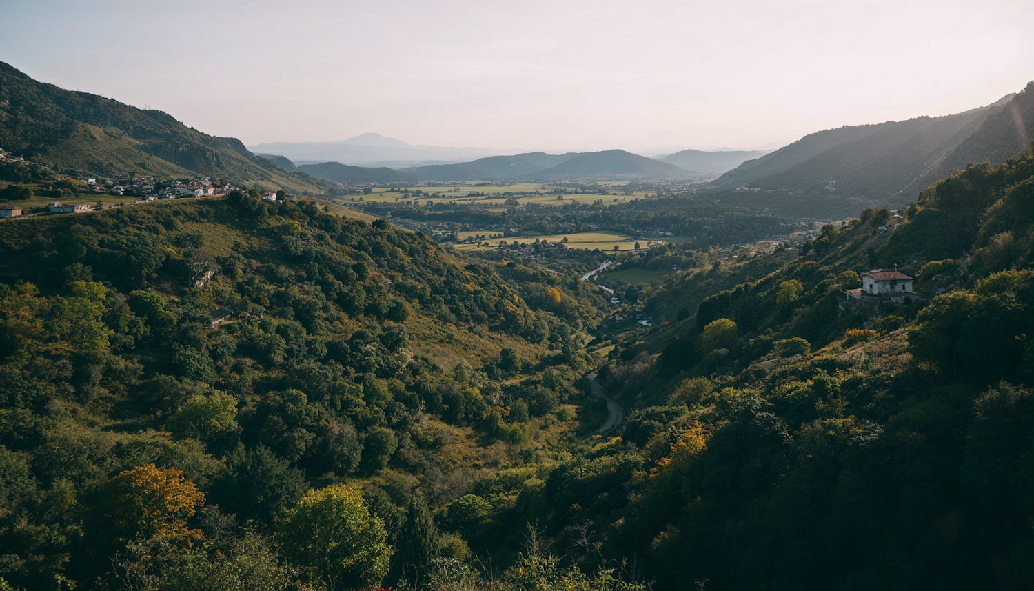 Lush Valley Landscape