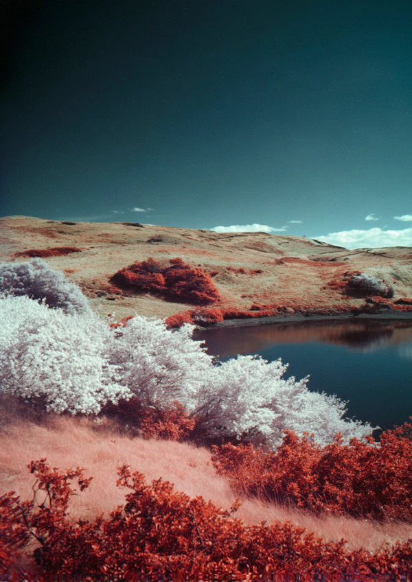 Surreal Landscape Scene