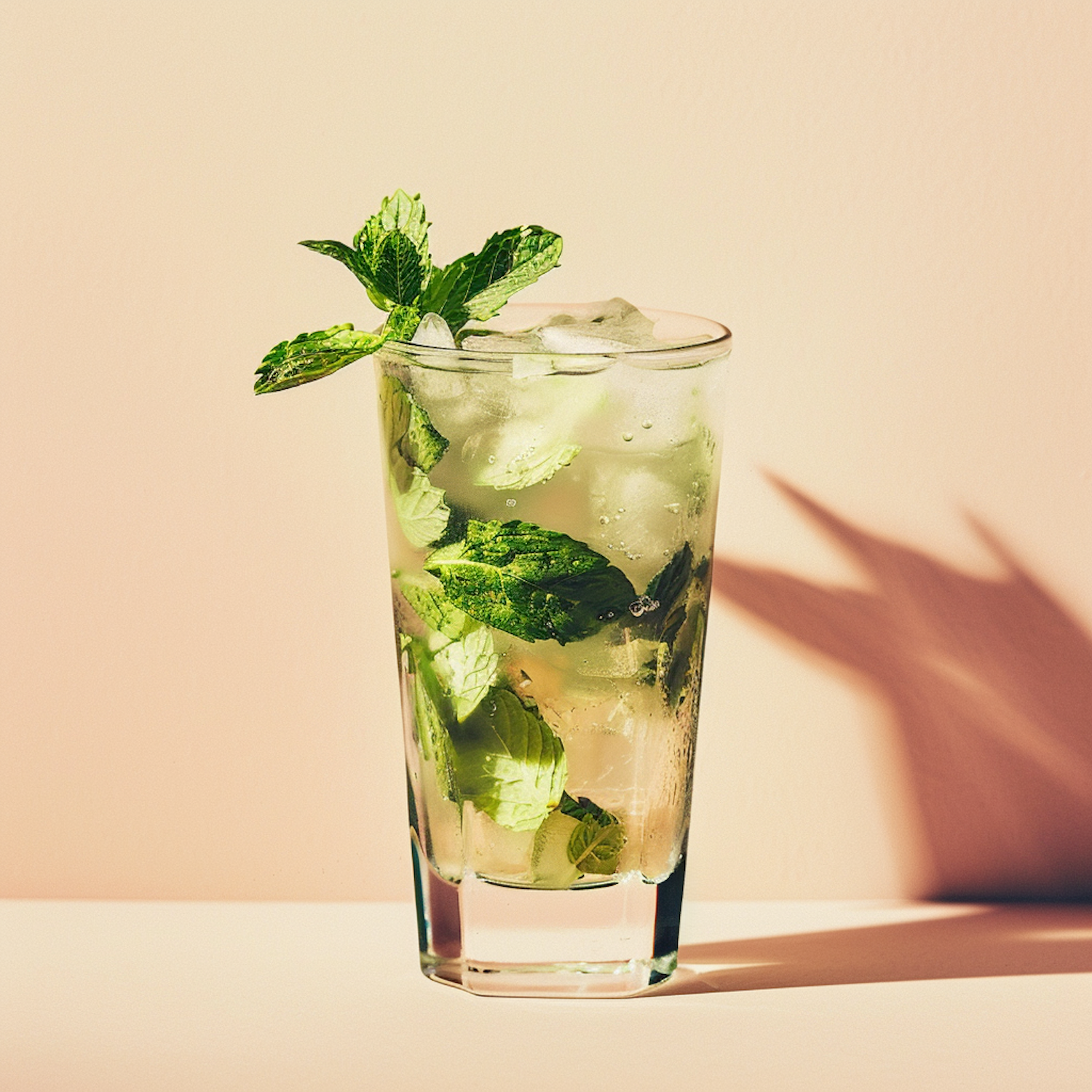 Mint Mojito Refreshment