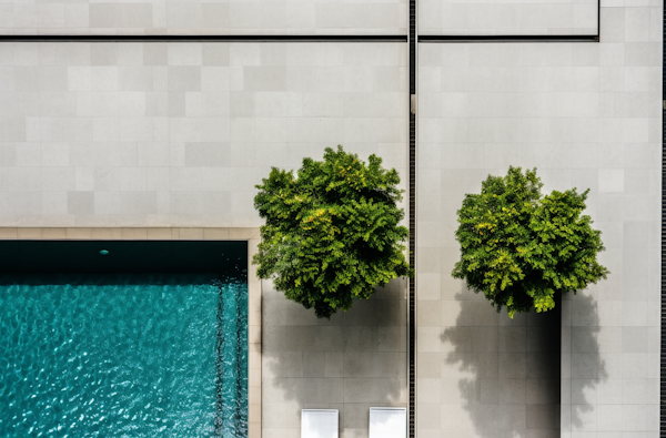 Symmetry in Symbiosis: Trees and Facade