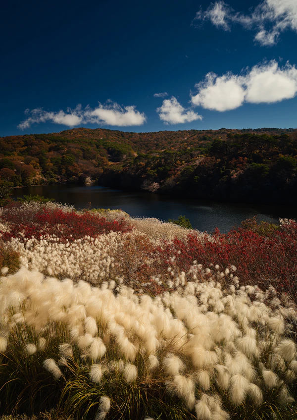 Autumn Hillside Serenity