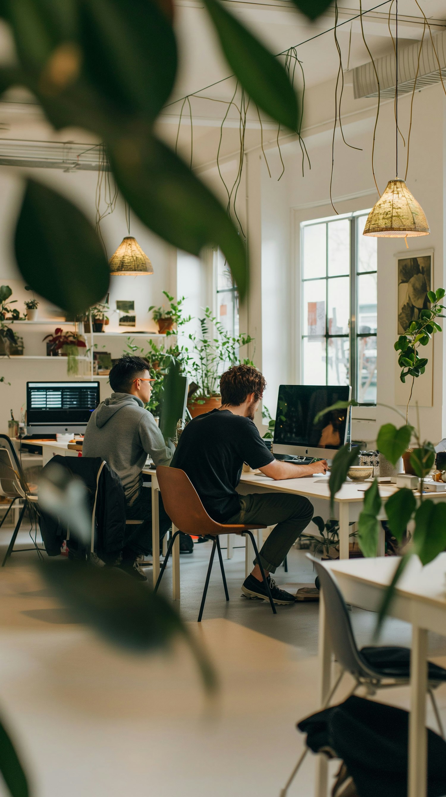 Modern Office Workspace with Natural Lighting