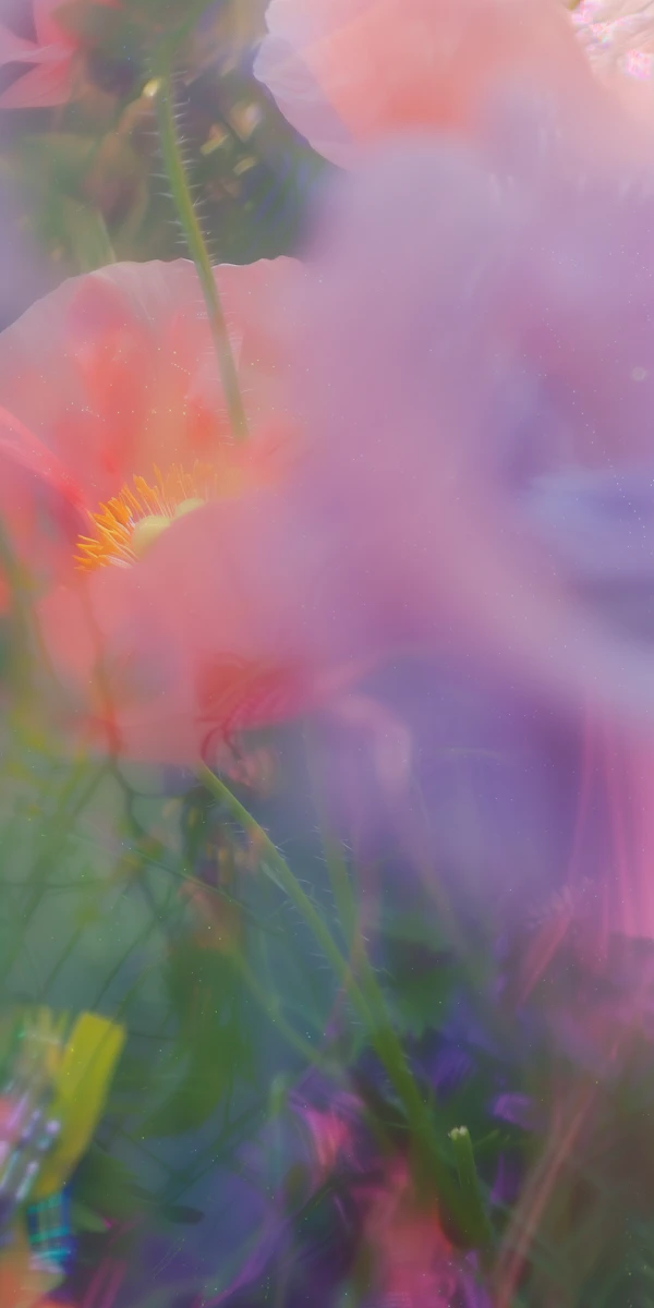 Dreamy Flower Garden