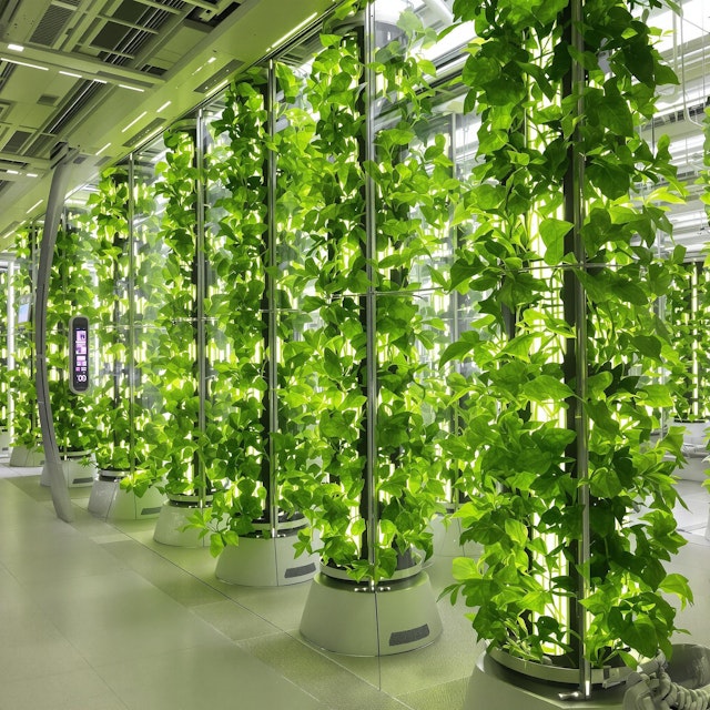 Futuristic Vertical Farm