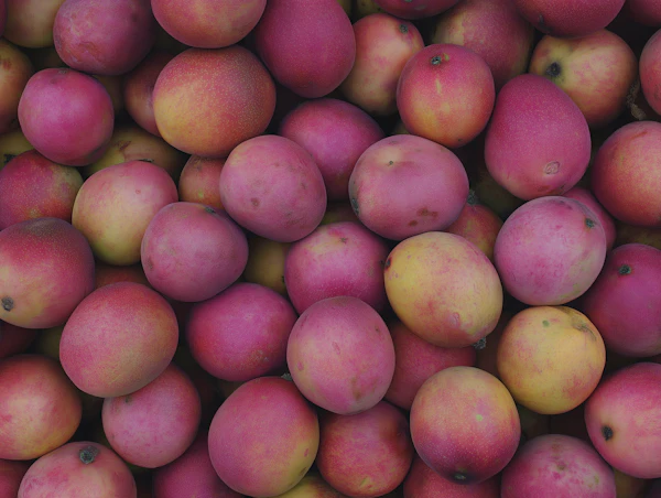 Ripe Mangoes Close-Up