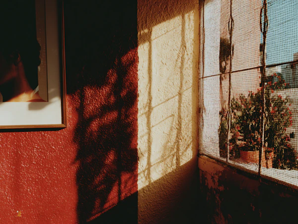 Cozy Sunlit Interior