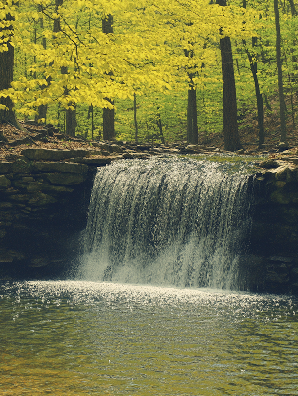 Serene Waterfall Scene