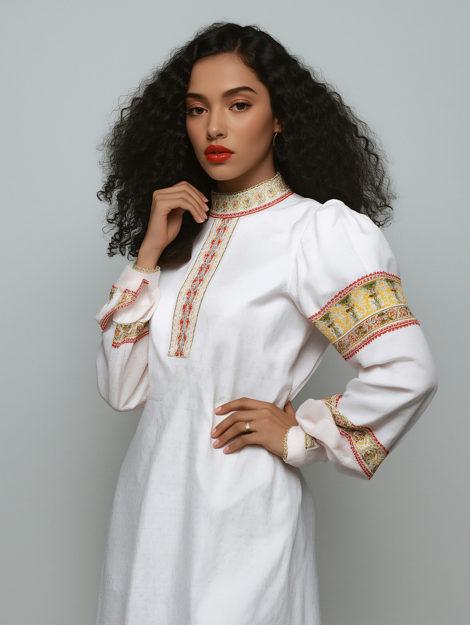 Elegant Embroidered Dress