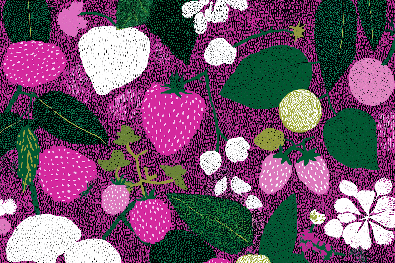 Colorful Pink Fruit Illustration