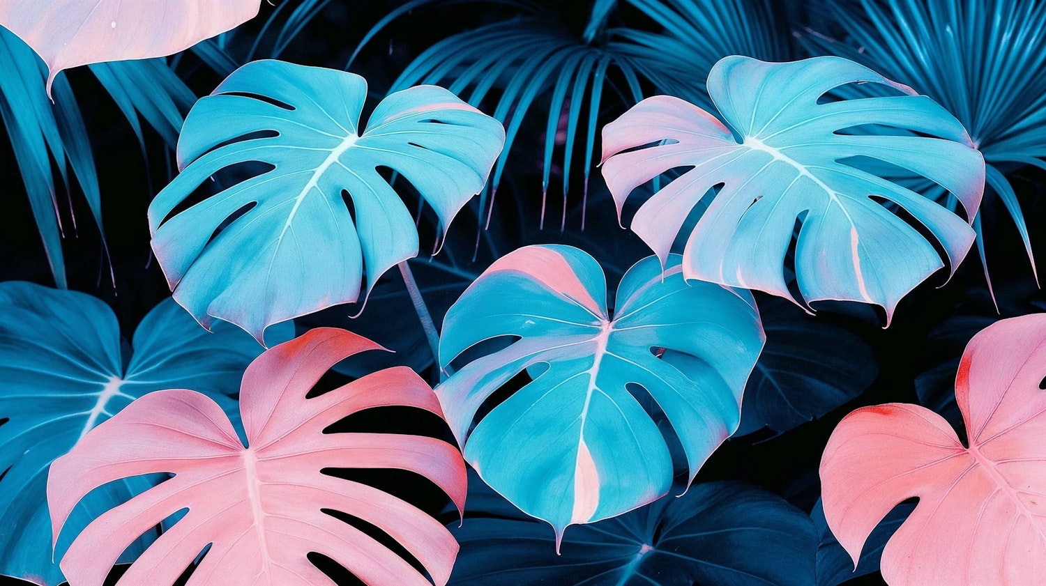 Surreal Monstera Leaves