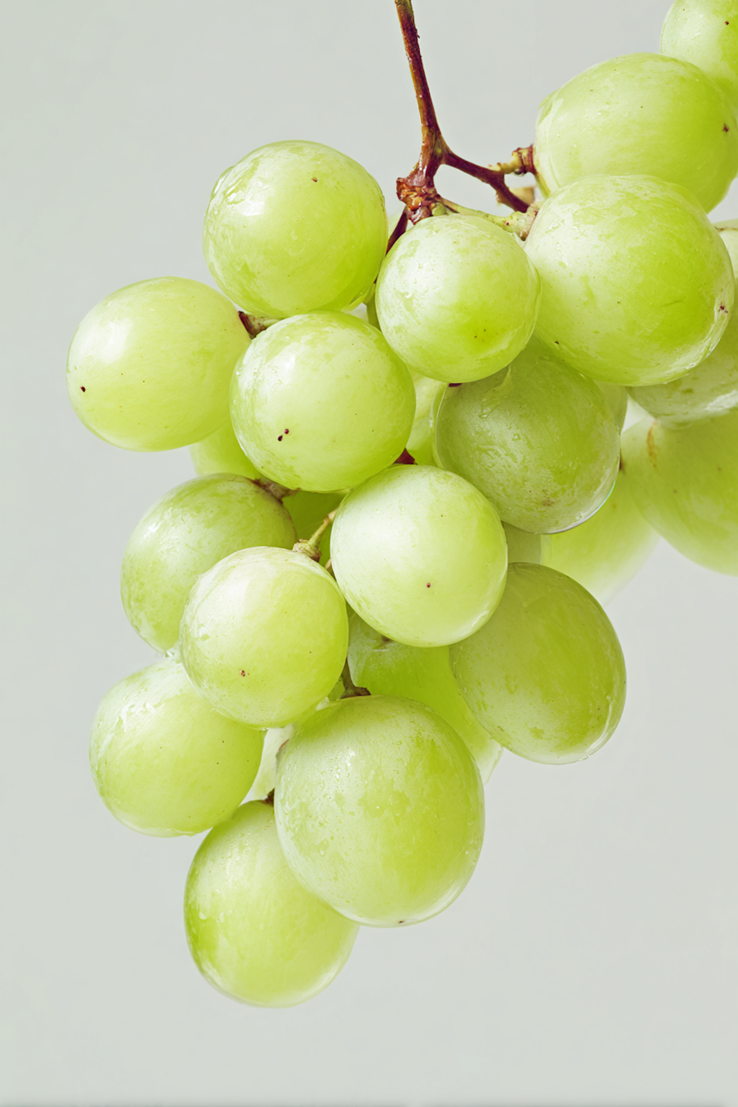 Close-Up Green Grapes