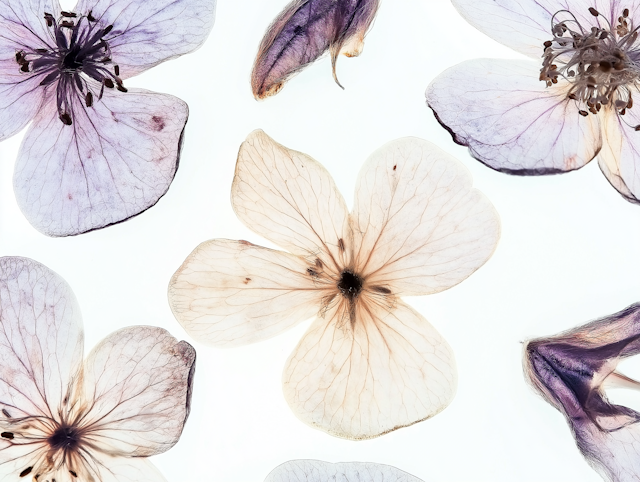 Delicate Floral Arrangement