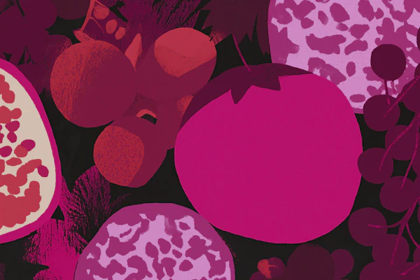 Vibrant Pink Fruit Illustration