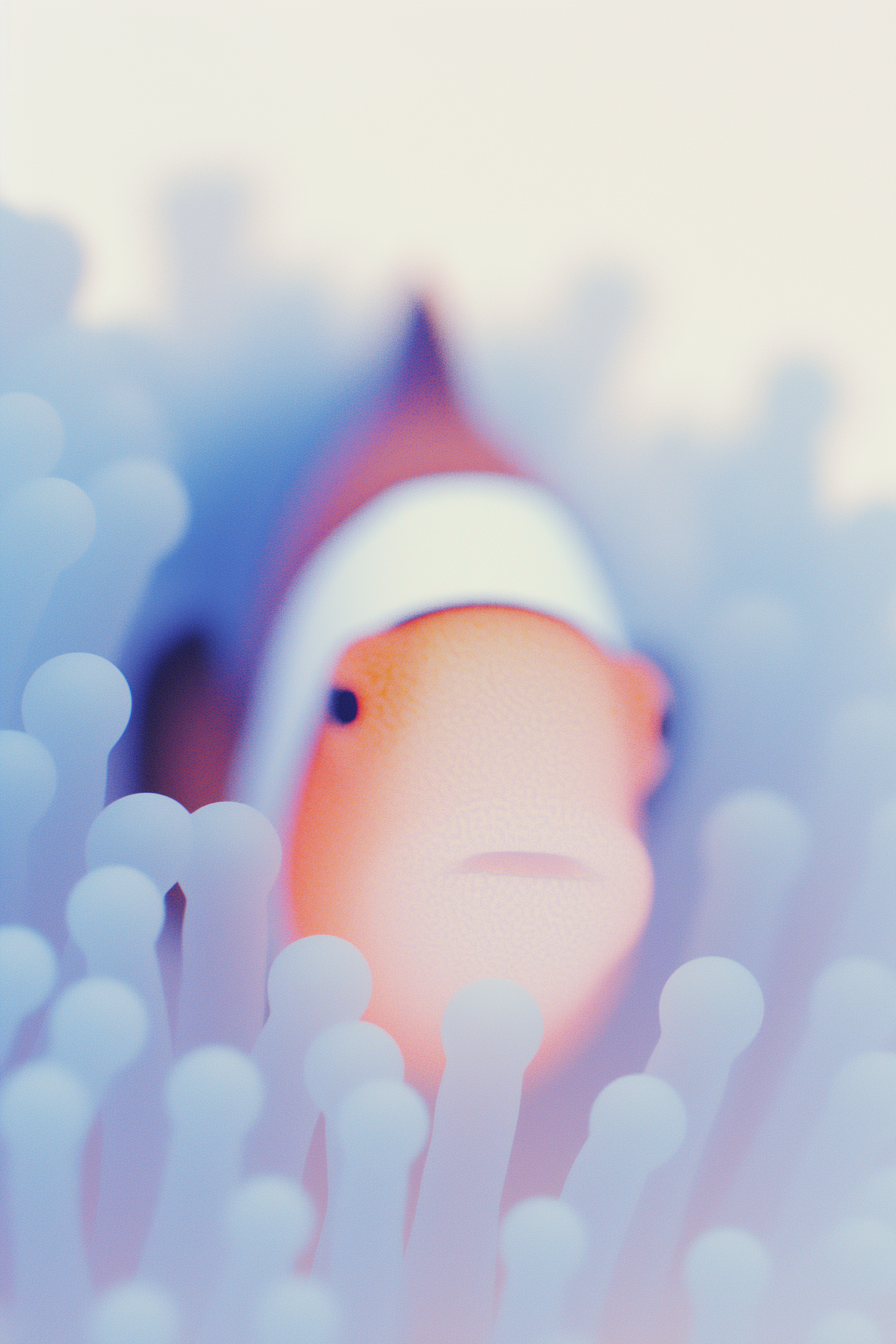 Clownfish and Anemone