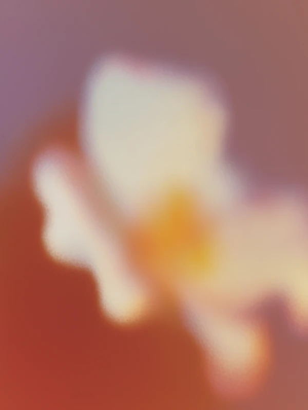 Ethereal Flower Glow