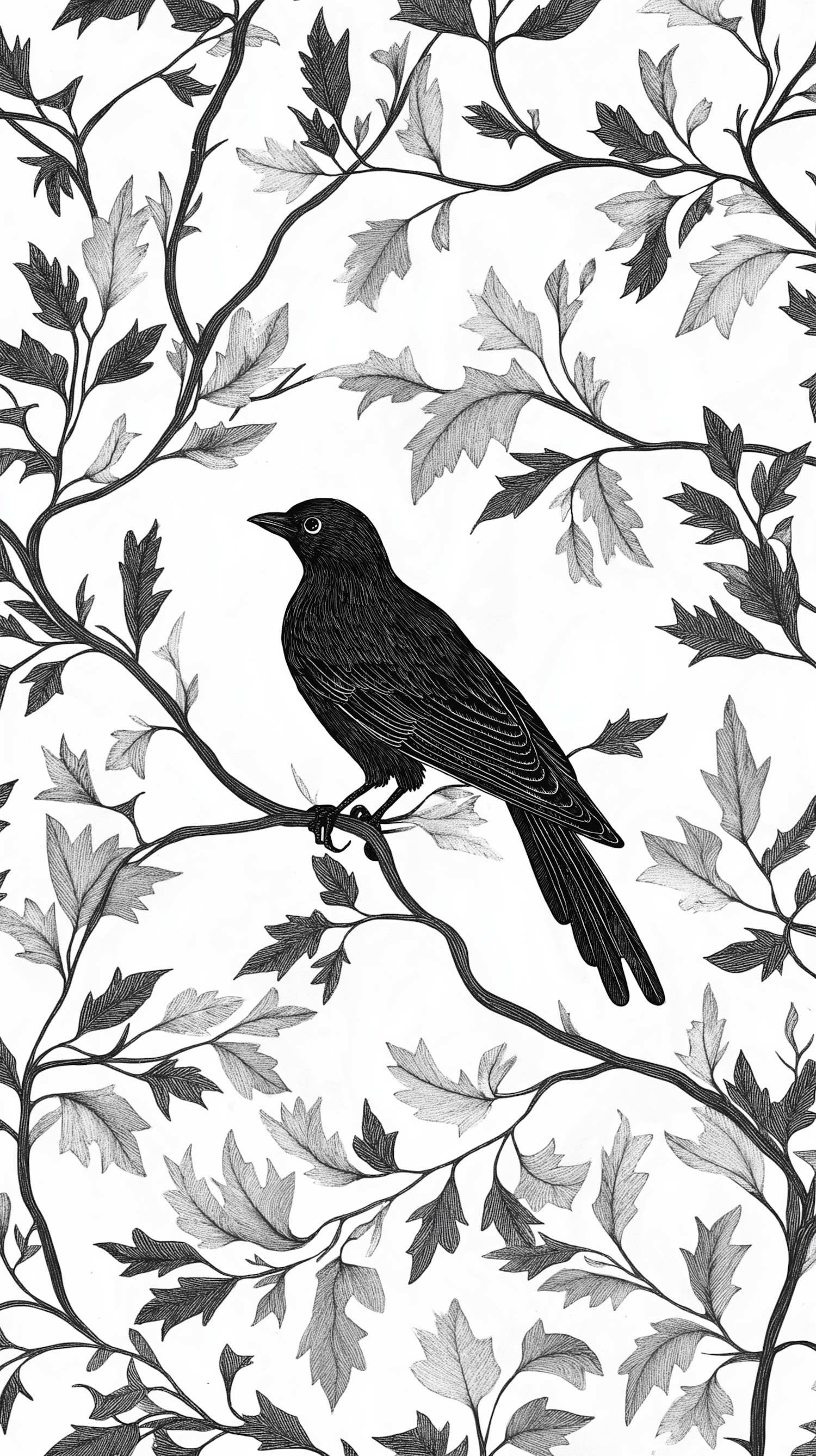 Monochrome Bird Illustration