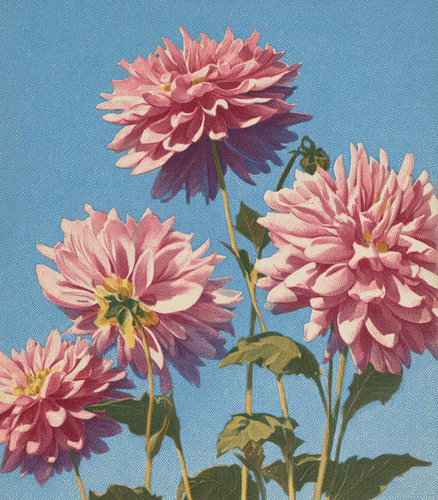 Vintage Floral Artwork