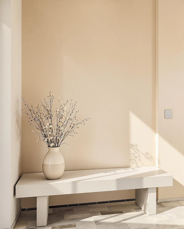 Minimalist Interior Scene