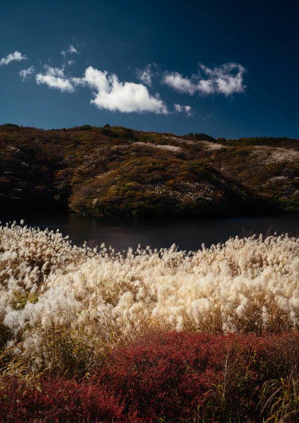 Autumn Hillside Serenity