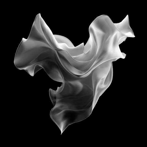 Ethereal Fabric Form