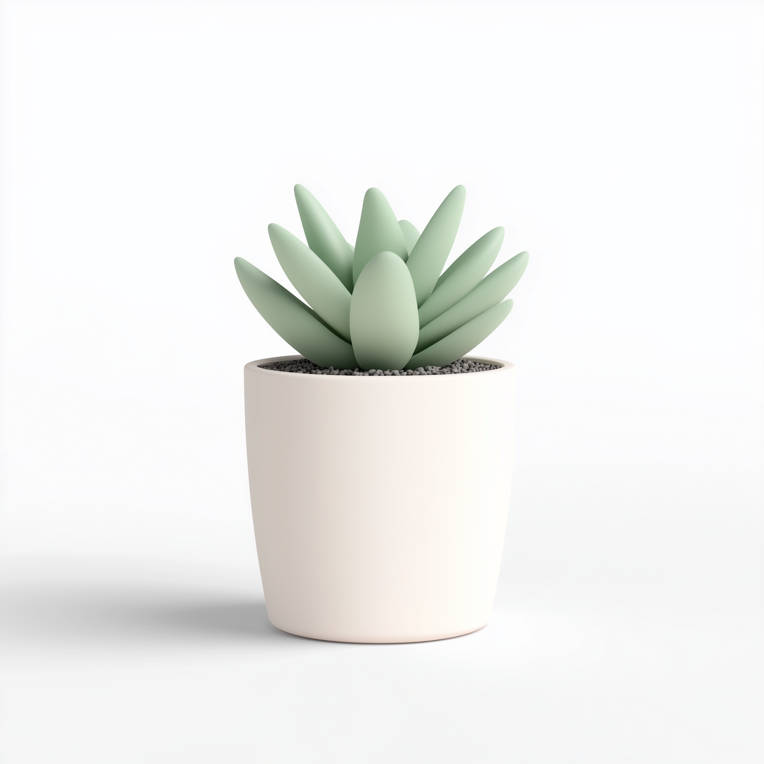 Minimalistic Mint Green Succulent