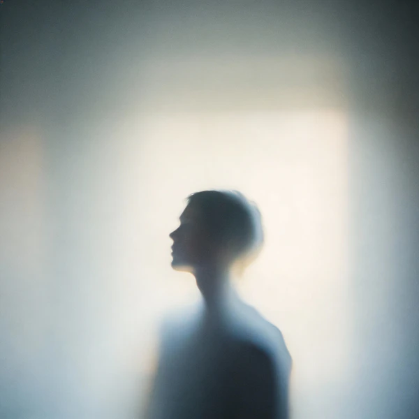 Silhouette Serenity
