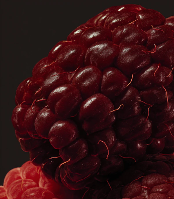 Ripe Raspberry Close-Up
