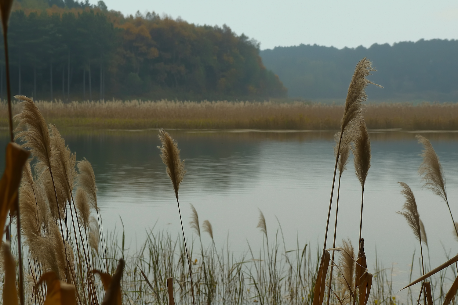 Serene Lakeside Scene