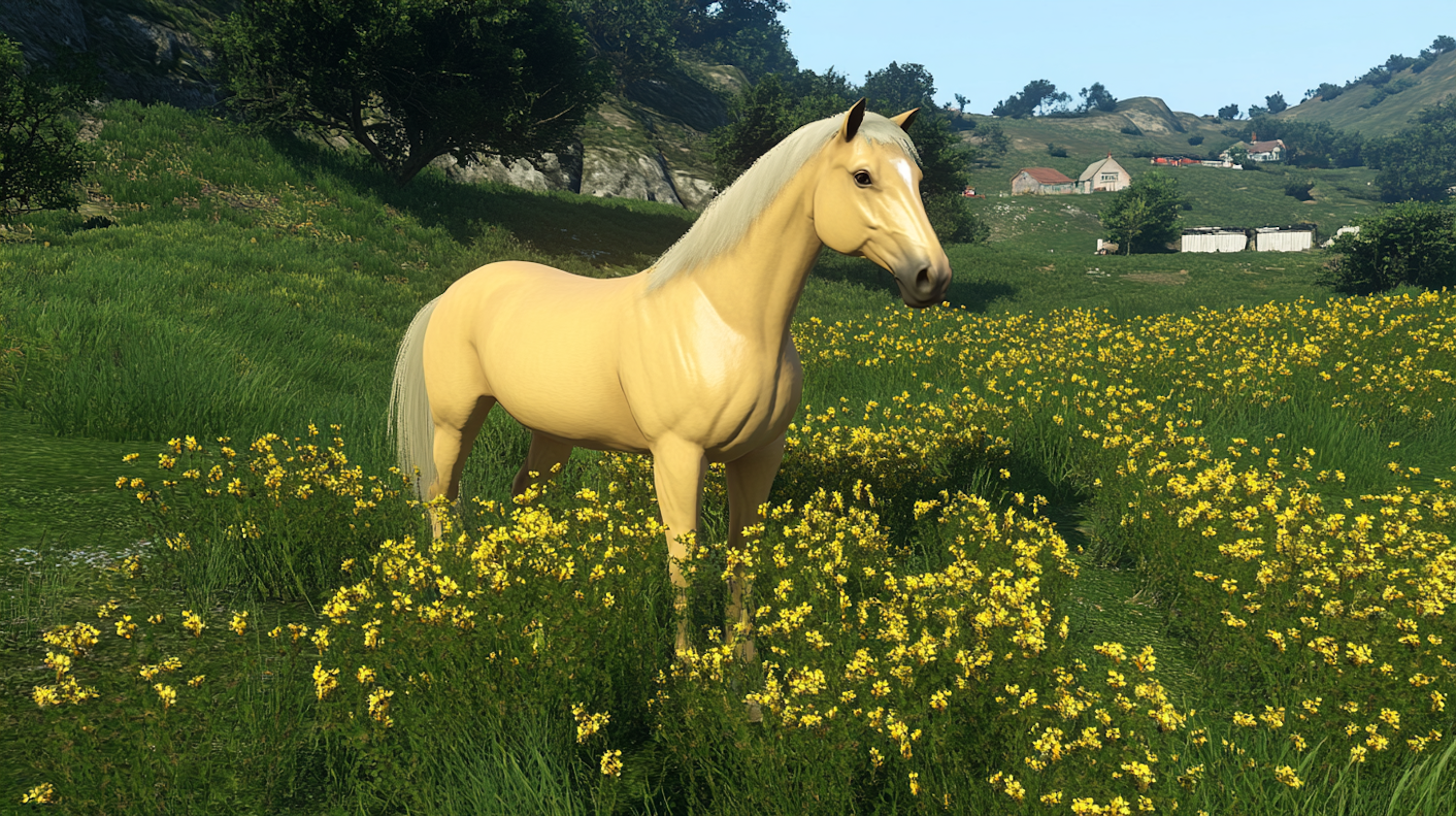 Palomino Horse in Meadow