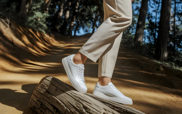 Stylish Forest Walk