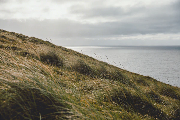 Serene Coastal Scene