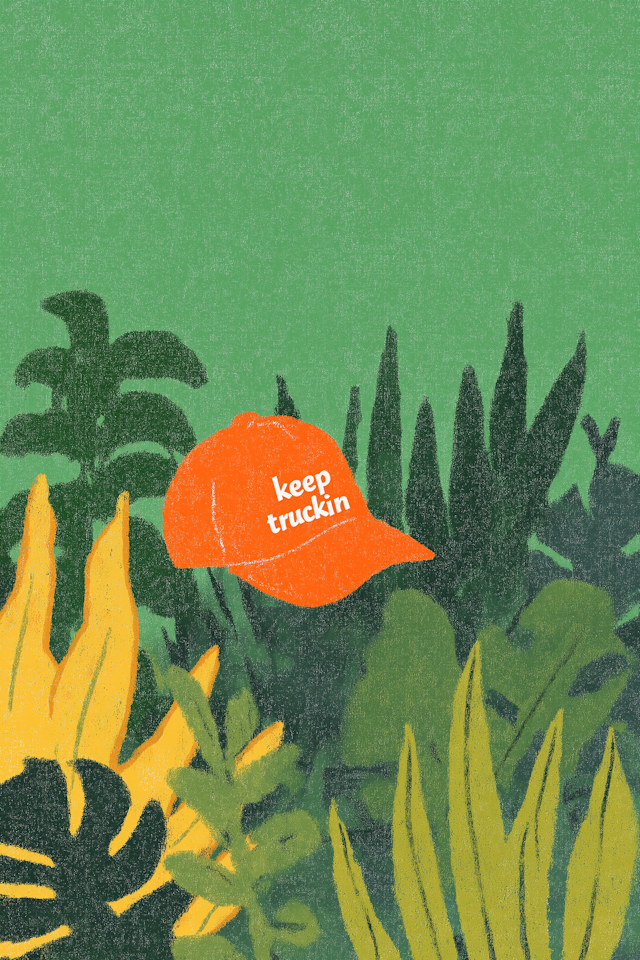 Orange Cap in Foliage