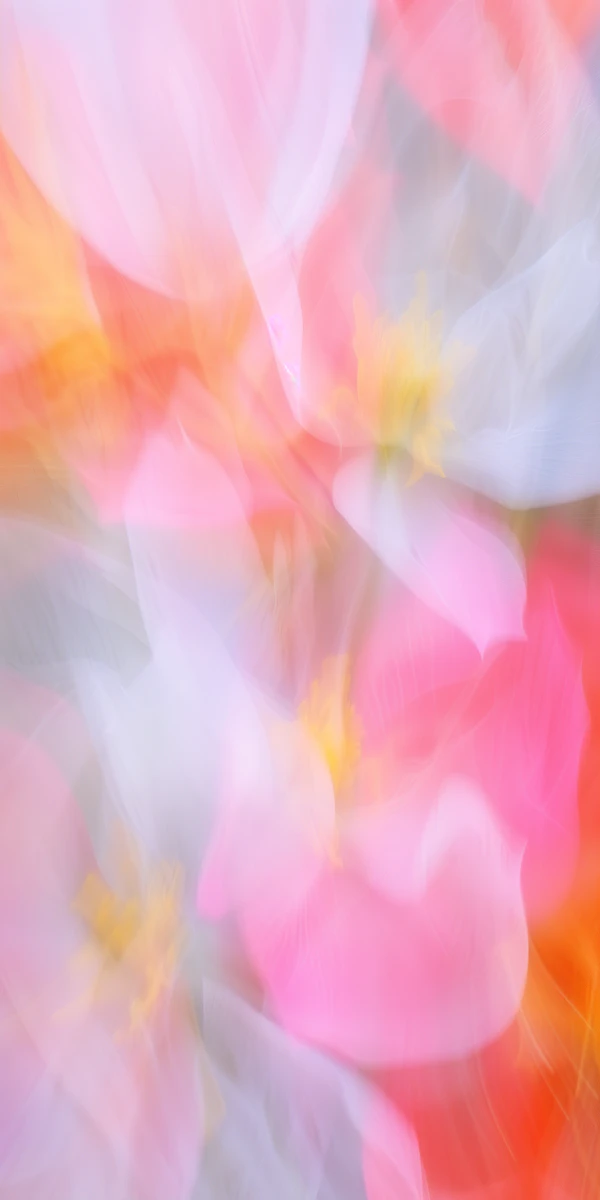 Dreamy Pastel Abstract