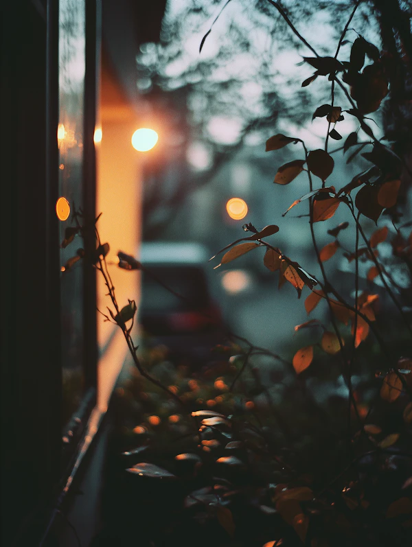 Serene Evening Window