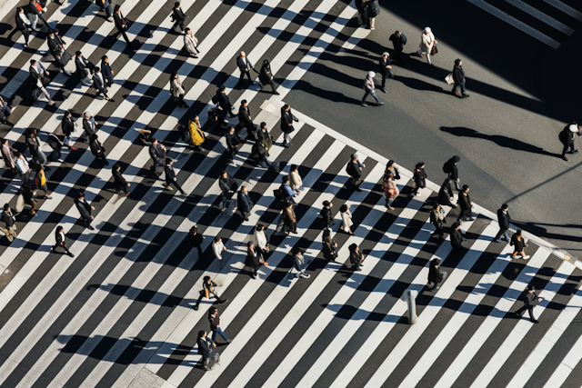 Urban Tapestry: Aerial Dance at the Zebra Crossing