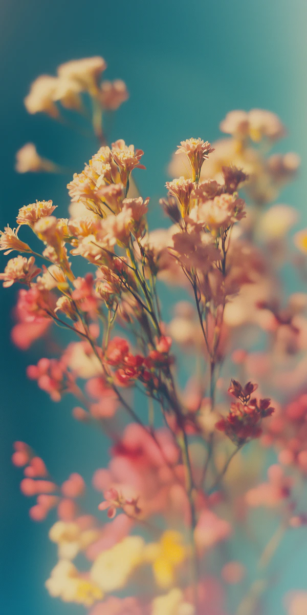 Delicate Floral Arrangement