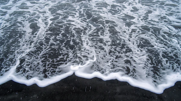 Black Sand Beach Waves
