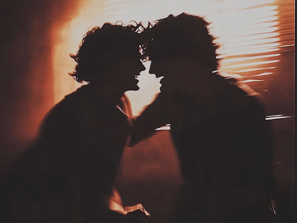 Silhouetted Interaction